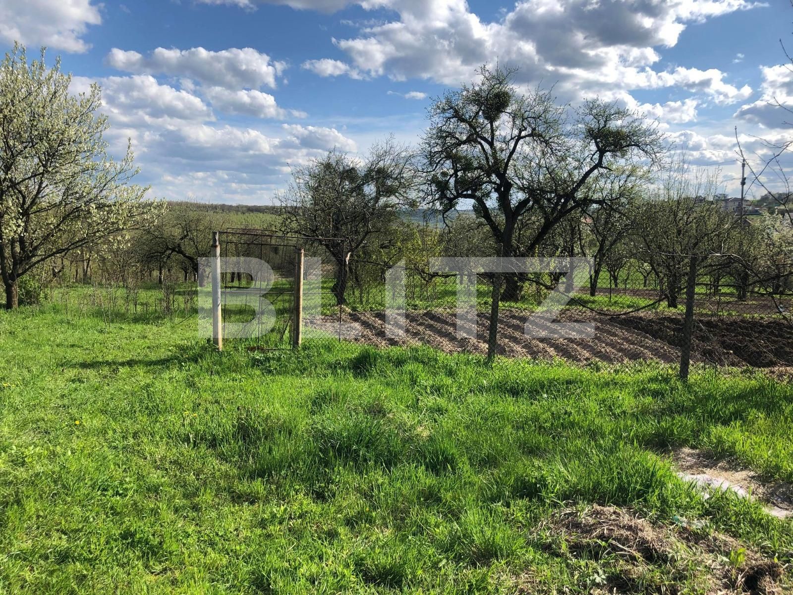 Teren de vânzare Exterior Sud - 64298TV | BLITZ Cluj-Napoca | Poza5