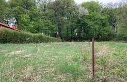 Teren 1000mp in Faget