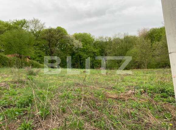 Teren de vânzare Făget - 64316TV | BLITZ Cluj-Napoca | Poza1