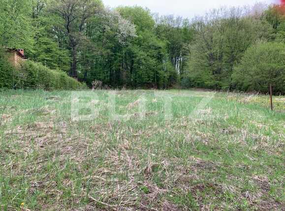 Teren de vânzare Făget - 64316TV | BLITZ Cluj-Napoca | Poza3