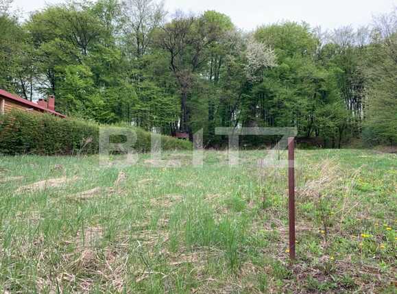 Teren de vânzare Făget - 64316TV | BLITZ Cluj-Napoca | Poza2