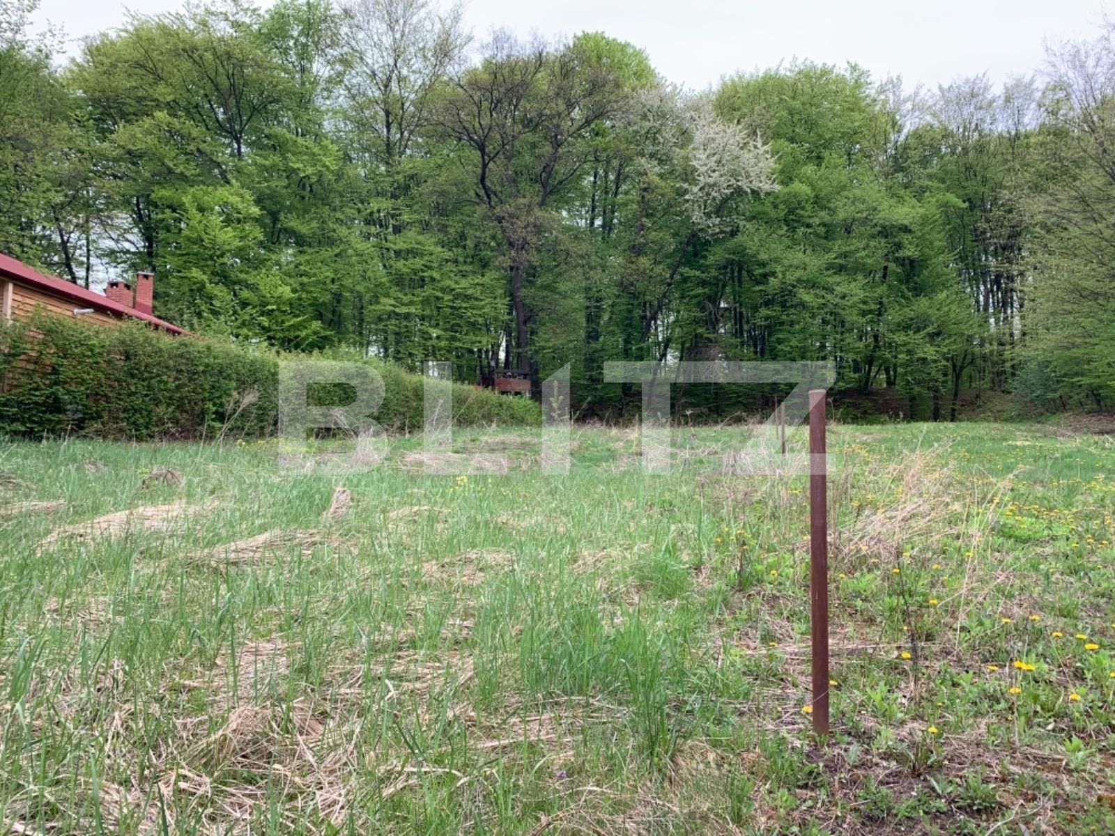 Teren de vânzare Făget - 64316TV | BLITZ Cluj-Napoca | Poza2