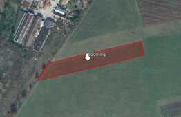 teren de 5000 mp, Stupini