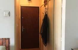 Garsoniera semidecomandata, 27mp+balcon inchis 4 mp, zona Kaufland Manastur