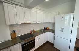 Apartament de 2 camere, imobil nou, Pet-Friendly, terasa, 55mp, zona Iulius Mall