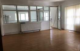 Casa de inchiriat cu 7 camere, hala service auto 100 mp, zona Pod Ira