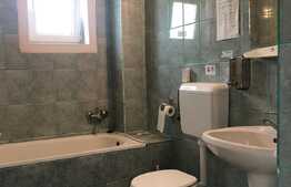 Casa de inchiriat cu 7 camere, hala service auto 100 mp, zona Pod Ira