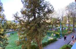 Camera de Camin, 20mp, Zona Triaj 