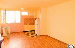 Apartament 1 camera, 32 mp, integral renovat in zona Grigore Alexandrescu