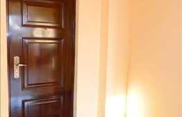 Apartament 1 camera, 32 mp, integral renovat in zona Grigore Alexandrescu