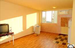 Apartament 1 camera, 32 mp, integral renovat in zona Grigore Alexandrescu
