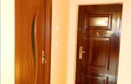 Apartament 1 camera, 32 mp, integral renovat in zona Grigore Alexandrescu