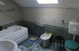 Casa de 296 mp, 1100 mp teren, Tarlungeni