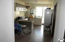 1 camera, 40 mp, imobil nou, mobilat modern, zona Iulius Mall!