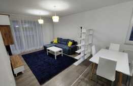 Apartament tip Studio in Urban Plaza