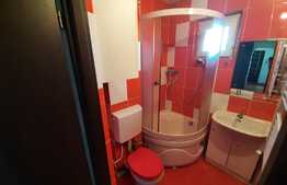 Apartament 2 camere, 40 mp, zona Florilor