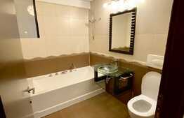 Apartament spatios, 140 mp, garaj, zona Parcul Rozelor