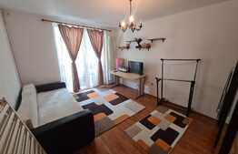 Garsoniera cocheta, la cheie, balcon inchis, loc parcare! Zona strazii Porii!