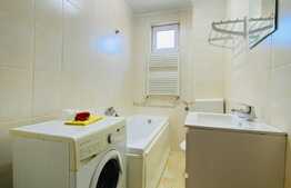 Apartament 1 camera, 40 mp, zona strazii Oasului