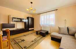 Apartament 1 camera, 40 mp, zona strazii Oasului