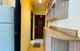 Apartament 1 camera, 40 mp, zona strazii Oasului