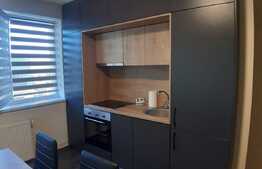 Apartament spatios, 3 camere, 60 mp, spatiu de depozitare si loc de parcare, Ioan Rus