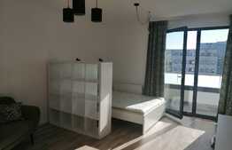 Apartament 1 camera, zona Park Lake, Iulius Mall