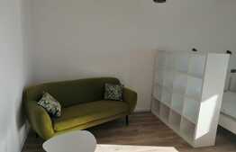 Apartament 1 camera, zona Park Lake, Iulius Mall