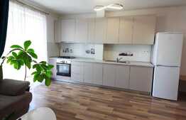 1 camera, 50 mp, modern, prima inchiriere, balcon, zona strazii Augustin Presecan