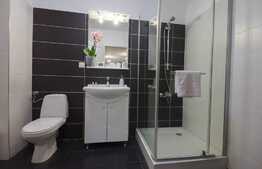 1 camera, 50 mp, modern, prima inchiriere, balcon, zona strazii Augustin Presecan