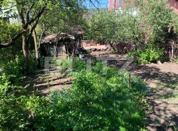 Teren de vânzare Gruia - 64538TV | BLITZ Cluj-Napoca | Poza2