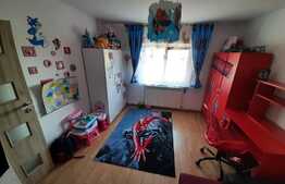 Apartament de 2 camere, 52 mp, renovat, zona Triaj