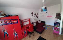 Apartament de 2 camere, 52 mp, renovat, zona Triaj