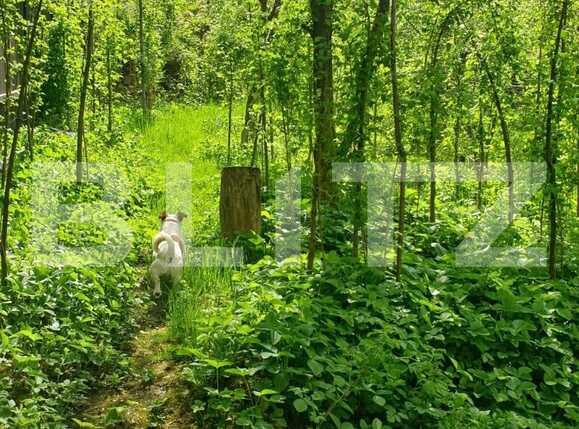 Casa de vânzare 3 camere Darste - 64553CV | BLITZ Brașov | Poza10