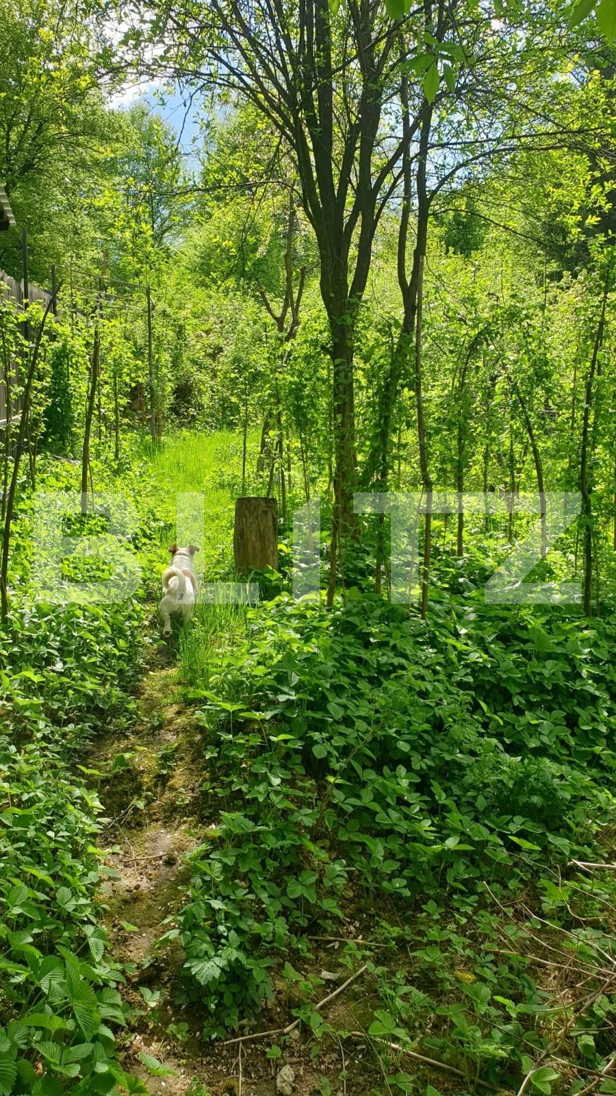 Casa de vânzare 3 camere Darste - 64553CV | BLITZ Brașov | Poza10