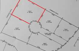 Teren de vanzare Tarlungeni, 885mp