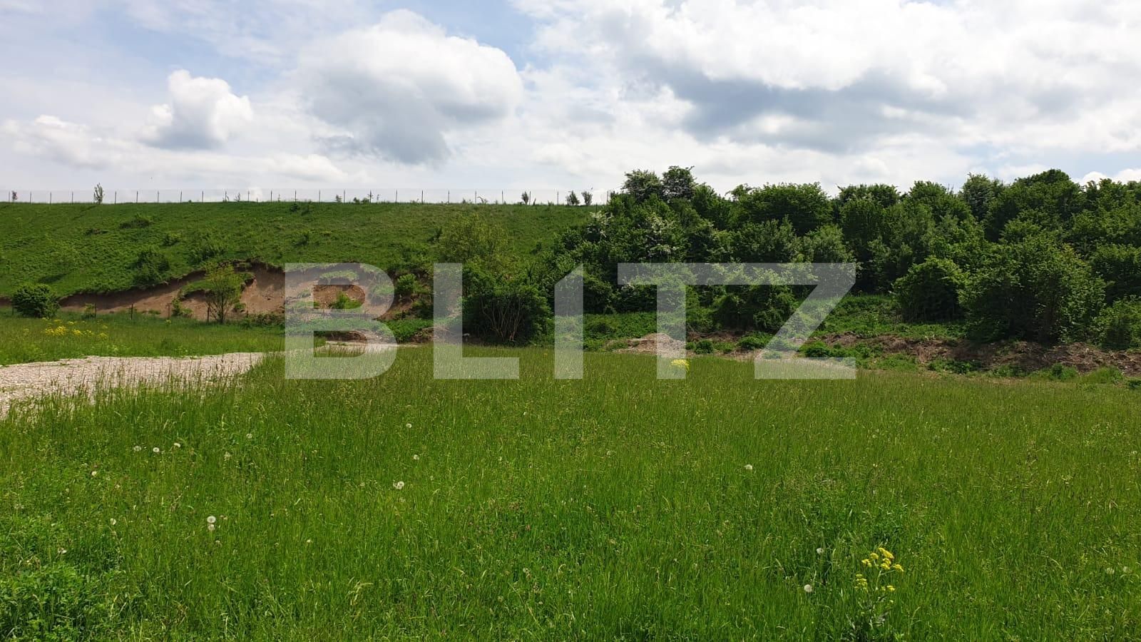 Teren de vânzare Exterior Est - 64557TV | BLITZ Brașov | Poza4