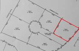 Teren de vanzare Tarlungeni, 557mp