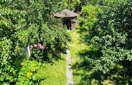 Vila renovata, 372 mp, curte proprie de aprox 300 mp, zona piata Cipariu