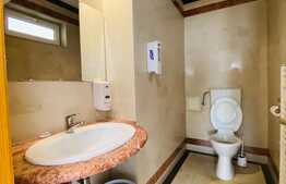 Vila renovata, 372 mp, curte proprie de aprox 300 mp, zona piata Cipariu