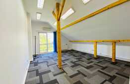 Vila renovata, 372 mp, curte proprie de aprox 300 mp, zona piata Cipariu