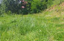 Vand teren intravilan In Stolna suprafata 1345 mp, front 54 utilitati in zona