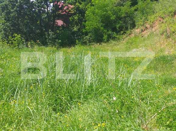 Teren de vânzare Exterior Vest - 64604TV | BLITZ Cluj-Napoca | Poza1