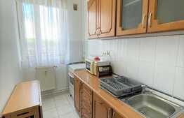 apartament 1 camera, decomandata, balcon, zona strazii Vanatorului