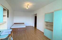 apartament 1 camera, decomandata, balcon, zona strazii Vanatorului