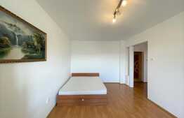 apartament 1 camera, decomandata, balcon, zona strazii Vanatorului