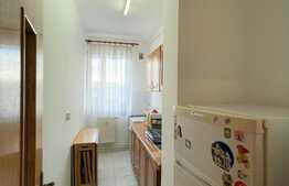 apartament 1 camera, decomandata, balcon, zona strazii Vanatorului