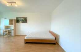 apartament 1 camera, decomandata, balcon, zona strazii Vanatorului