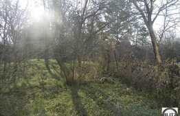 Vanzare apartament in imobil tip CASA, 148 mp utili plus cota parte GRADINA