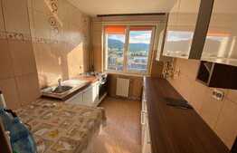 Apartament 2 camere, 46 mp, zona Astra